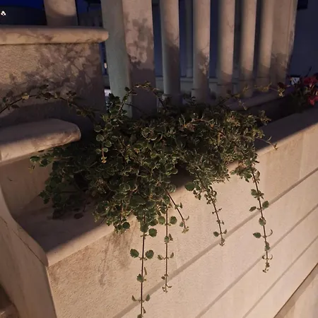 Lavandula With Heated Swimming Pool تروغير